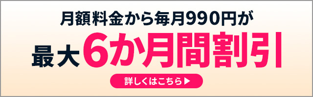 月額料金から毎月990円が最大6か月間割引 詳しくはこちら