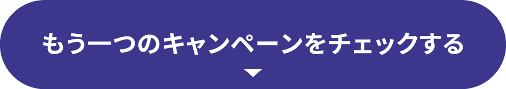 もう一つのキャンペーンをチェックする