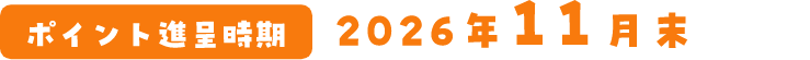 ポイント進呈時期 2026年11月末