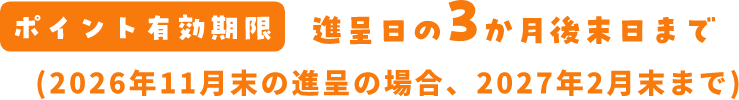 ポイント有効期限 進呈日の3か月後末日まで (2026年11月末の進呈の場合、2027年2月末まで)