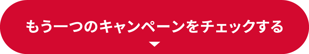 もう一つのキャンペーンをチェックする