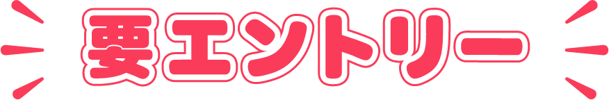 要エントリー