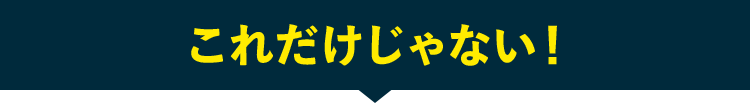 これだけじゃない！