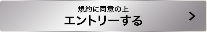 規約に同意の上エントリーする