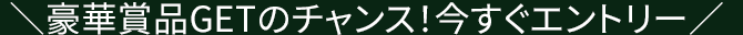 ＼豪華賞品GETのチャンス！今すぐエントリー／