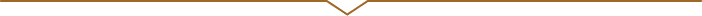 横線