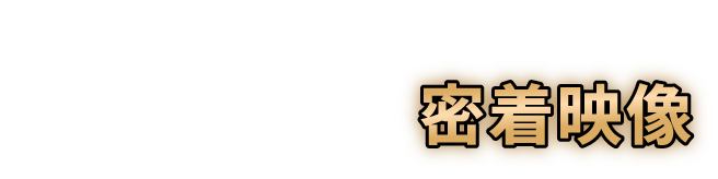 TGC当日の 騎士X - Knight X - 密着映像
