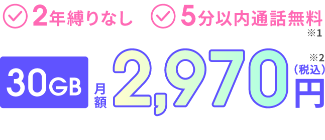 2年縛りなし 5分以内通話無料 30GB 月額2,970円（税込）