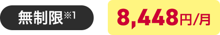無制限※1 8,448円/月