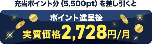 充当ポイント分（5,500pt）を差し引くとポイント進呈後実質価格2,728円/月