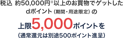 税込 約50,000円※以上のお買物でゲットしたdポイント（期間・用途限定）の上限5,000ポイントを（通常還元は別途500ポイント進呈）