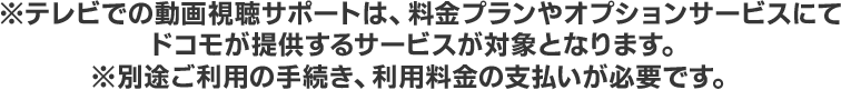 ※テレビでの動画視聴サポートは、料金プランやオプションサービスにてドコモが提供するサービスが対象となります。 ※別途ご利用の手続き、利用料金の支払いが必要です。