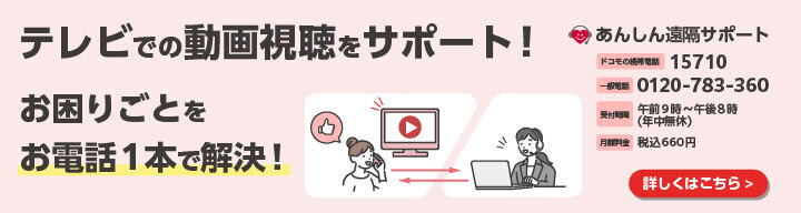 テレビでの動画視聴をサポート！