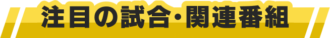 注目の試合・関連番組