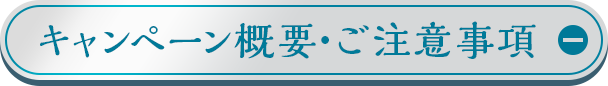キャンペーン概要・ご注意事項