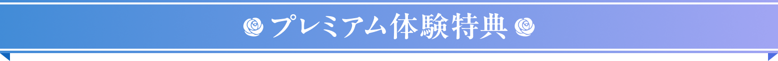 プレミアム体験特典