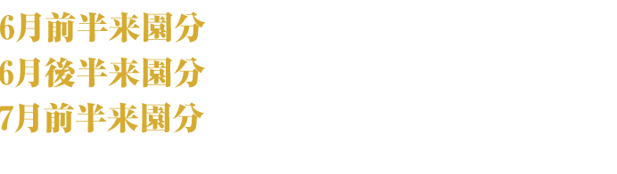 6月前半来園分2026年4月1日(水)～4月15日(水) 6月後半来園分2026年4月16日(木)～4月30日(水) 7月前半来園分2026年5月1日(木)～5月15日(木)