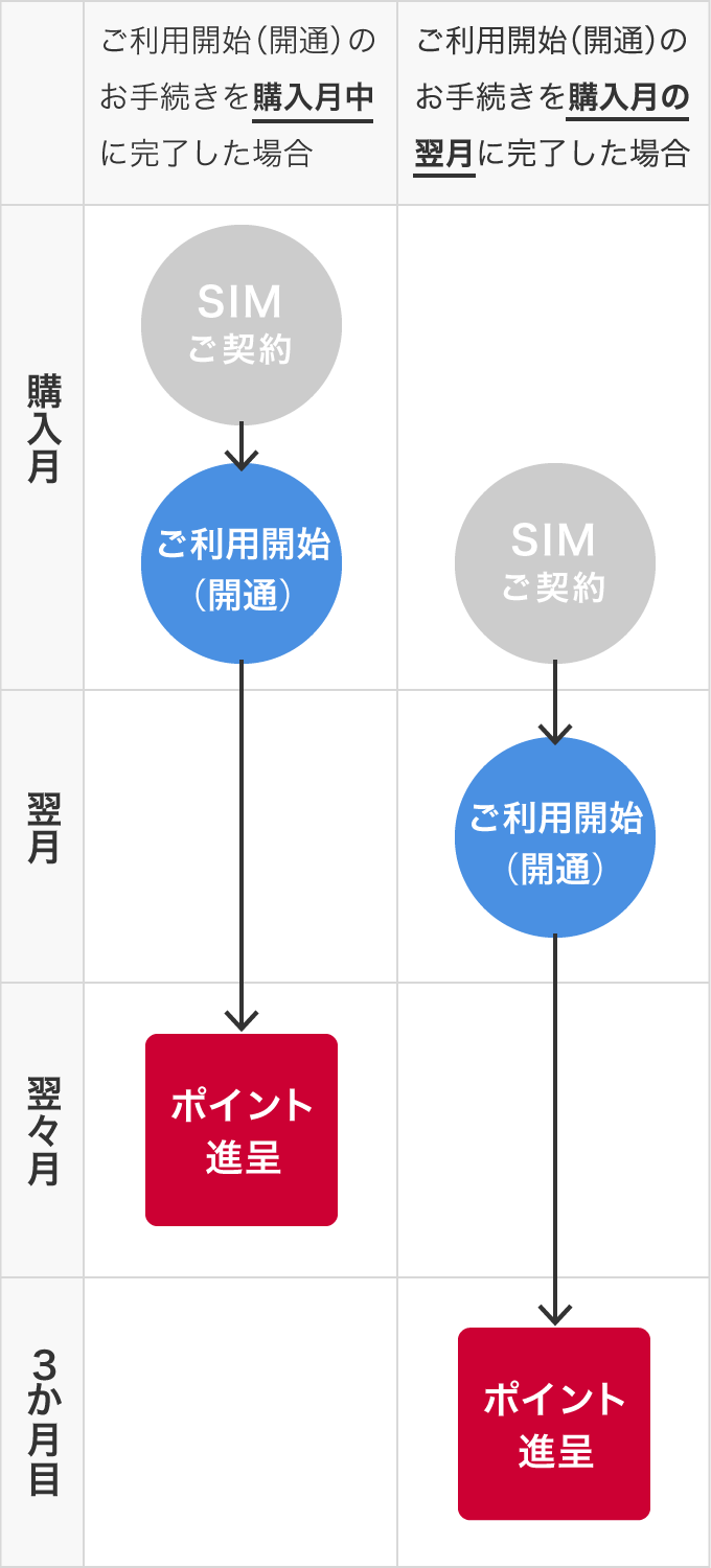 ご利用開始（開通）のお手続きを購入月中に完了した場合：翌々月にポイント進呈 ご利用開始（開通）のお手続きを購入月の翌月に完了した場合：3か月目にポイント進呈