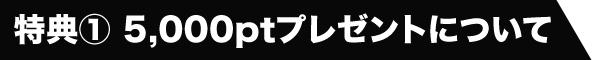 特典① 5,000ptプレゼントについて