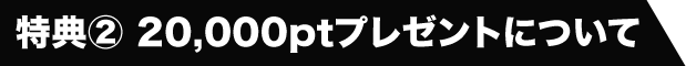 特典② 20,000ptプレゼントについて