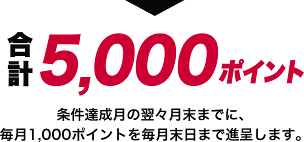 合計5,000ポイント 条件達成月の翌々月末までに、毎月1,000ポイントを毎月末日まで進呈します