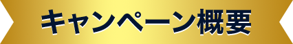 キャンペーン概要