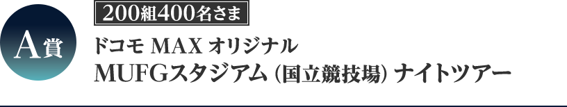 A賞 ドコモ MAX オリジナル MUFGスタジアム（国立競技場）ナイトツアー 200組400名さま