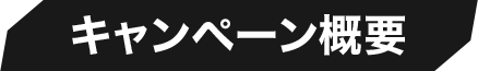 キャンペーン概要