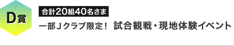 D賞 一部Ｊクラブ限定！ 試合観戦・現地体験イベント 合計20組40名さま