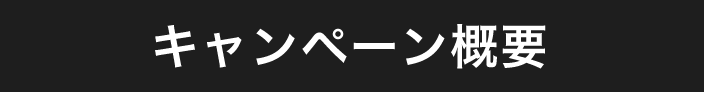 キャンペーン概要