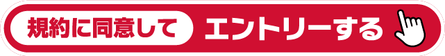 規約に同意してエントリーする