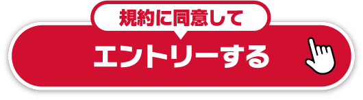 規約に同意してエントリーする