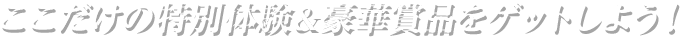 ここだけの特別体験＆商品をゲットしよう！
