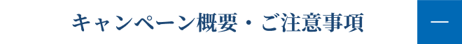 キャンペーン概要・ご注意事項