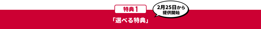 特典1 「選べる特典」