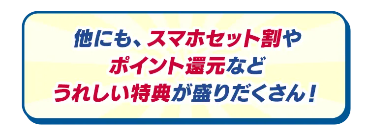 他にも、スマホセット割やポイント還元などうれしい特典が盛りだくさん！