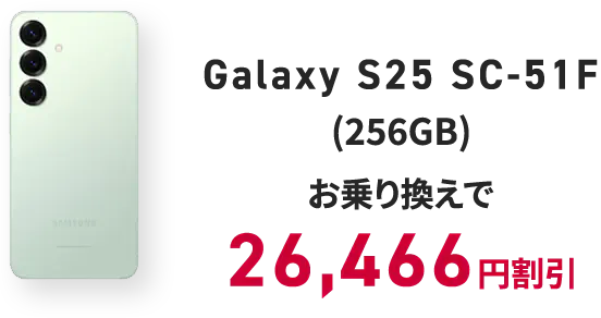 Galaxy S25 SC-51F