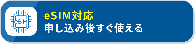 eSIM対応 申し込み後すぐ使える