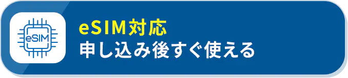 eSIM対応 申し込み後すぐ使える