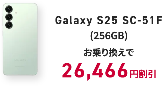 Galaxy S25 SC-51F