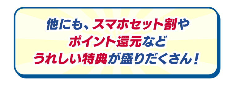 他にも、スマホセット割やポイント還元などうれしい特典が盛りだくさん！