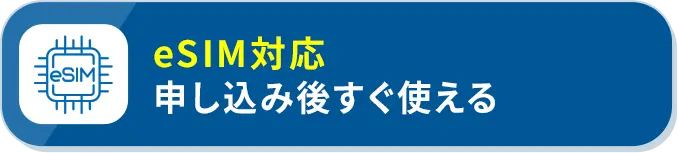 eSIM対応 申し込み後すぐ使える