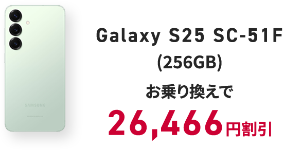 Galaxy S25 SC-51F