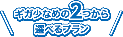 ギガ少なめの2つから選べるプラン