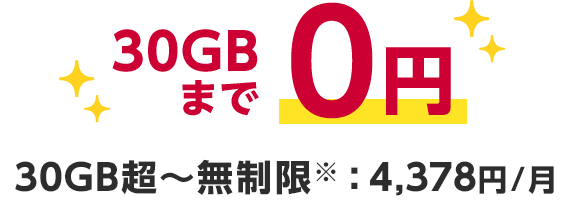 30GBまで0円 30GB超〜無制限※:4,378円/月