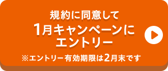 規約に同意して1月キャンペーンにエントリー※エントリー有効期限は2月末です