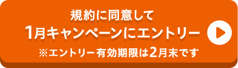 規約に同意して1月キャンペーンにエントリー※エントリー有効期限は2月末です