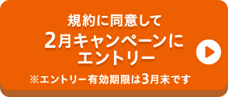 規約に同意して2月キャンペーンにエントリー※エントリー有効期限は3月末です