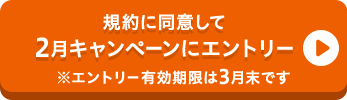 規約に同意して2月キャンペーンにエントリー※エントリー有効期限は3月末です