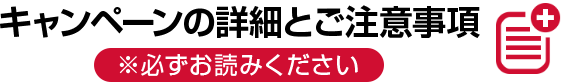 キャンペーンの詳細とご注意事項 ※必ずお読みください